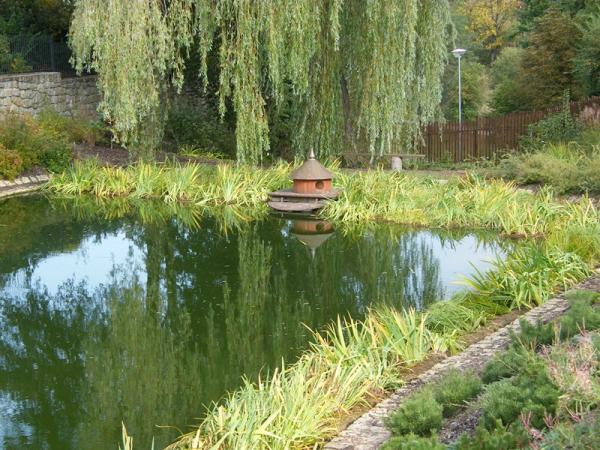  Plovoucí systémy s předpěstovanými vodními rostlinami nově instalované na chovném rybníku